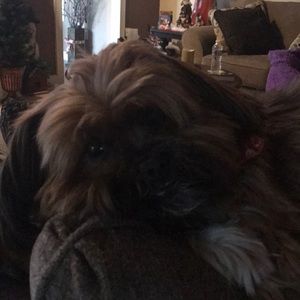 Meet your Posher, Maria